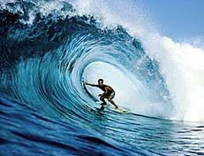 Largest Encyclopedia of Surfing