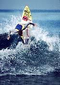 Largest Encyclopedia of Surfing