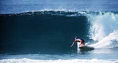 Largest Encyclopedia of Surfing