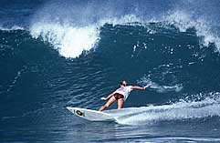 Largest Encyclopedia of Surfing