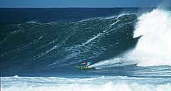 Largest Encyclopedia of Surfing