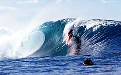 Largest Encyclopedia of Surfing