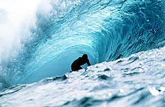 Largest Encyclopedia of Surfing