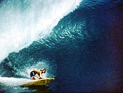 Largest Encyclopedia of Surfing