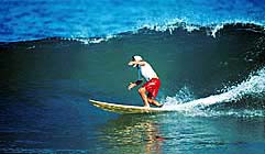 Largest Encyclopedia of Surfing