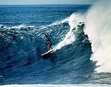 Largest Encyclopedia of Surfing