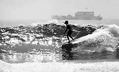 Largest Encyclopedia of Surfing
