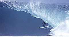 Largest Encyclopedia of Surfing