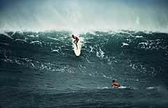 Largest Encyclopedia of Surfing