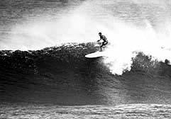 Largest Encyclopedia of Surfing