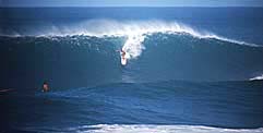 Largest Encyclopedia of Surfing