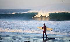 Largest Encyclopedia of Surfing
