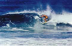 Largest Encyclopedia of Surfing