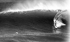 Largest Encyclopedia of Surfing