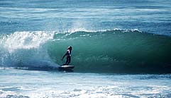 Largest Encyclopedia of Surfing