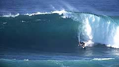 Largest Encyclopedia of Surfing