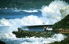 Largest Encyclopedia of Surfing