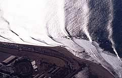 Largest Encyclopedia of Surfing