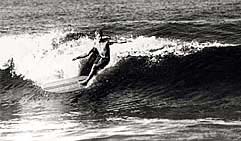 Largest Encyclopedia of Surfing