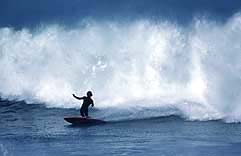 Largest Encyclopedia of Surfing
