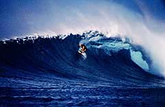 Largest Encyclopedia of Surfing