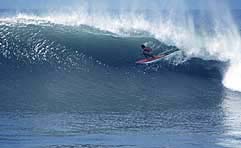 Largest Encyclopedia of Surfing