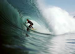 Largest Encyclopedia of Surfing