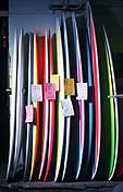 Largest Encyclopedia of Surfing