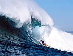 Largest Encyclopedia of Surfing