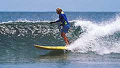 Largest Encyclopedia of Surfing