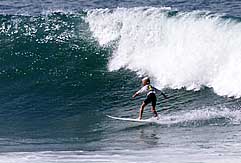 Largest Encyclopedia of Surfing