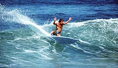 Largest Encyclopedia of Surfing