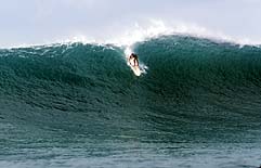 Largest Encyclopedia of Surfing