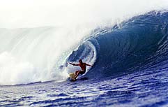 Largest Encyclopedia of Surfing