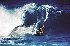 Largest Encyclopedia of Surfing