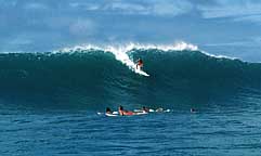 Largest Encyclopedia of Surfing