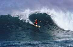 Largest Encyclopedia of Surfing