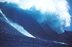 Largest Encyclopedia of Surfing