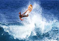 Largest Encyclopedia of Surfing