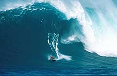Largest Encyclopedia of Surfing