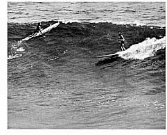 Largest Encyclopedia of Surfing