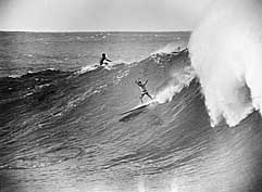 Largest Encyclopedia of Surfing