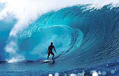 Largest Encyclopedia of Surfing