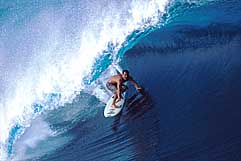 Largest Encyclopedia of Surfing