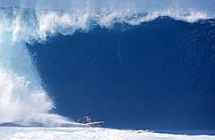 Largest Encyclopedia of Surfing