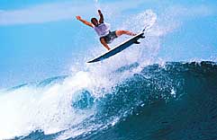 Largest Encyclopedia of Surfing