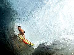 Largest Encyclopedia of Surfing