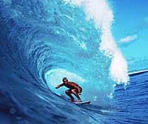 Largest Encyclopedia of Surfing