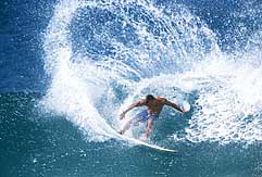 Largest Encyclopedia of Surfing