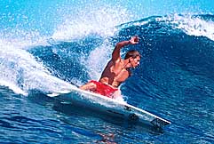 Largest Encyclopedia of Surfing